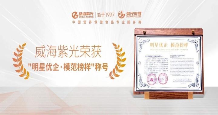 【荣誉上新】威海紫光获 “ 明星优企·模范榜样 ” 荣誉称号